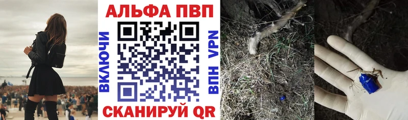 как найти наркотики  площадка официальный сайт  Alpha-PVP VHQ  Суджа 