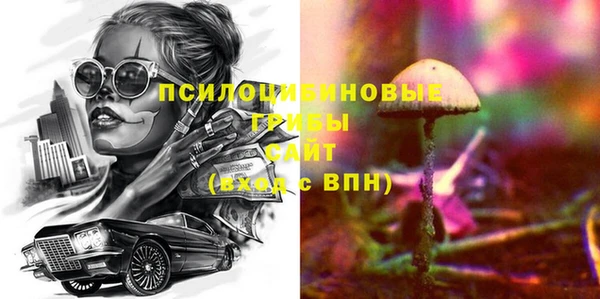 амф Алексин